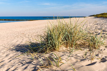 Grass, white sand dunes beach on the shore of the Baltic Sea. Poland.