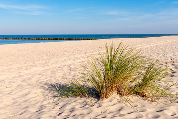 Grass, white sand and beautiful beach. Baltic Sea. Poland