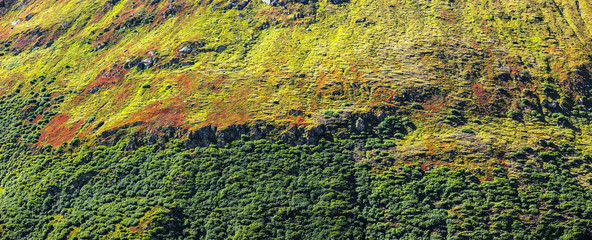 Herbstfärbung im Gebirge