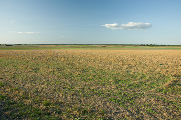 Fototapeta na wymiar Panorama on fields and meadows