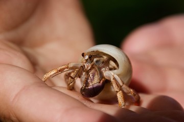 Costa Rica