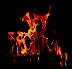 Flame of fire on a black background