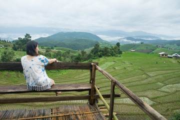 Naklejka na ściany i meble The pretty woman relaxing in holiday at rice terrace, Rice planting season in Chiang Mai, Tourism concept