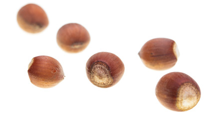 Ripe hazelnut nuts isolated on white background