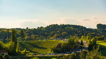 Austria Vineyards Sulztal wine street area south Styria , wine country. Tourist destination