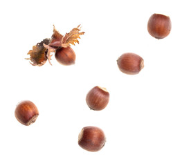 Ripe hazelnut nuts isolated on white background