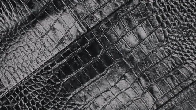 Rotation, close-up of the structure of natural crocodile skin.