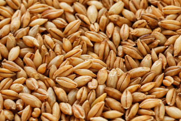 heap of pearl barley grains, vegetarian food