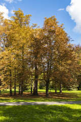 Fototapeta premium Golden Polish autumn. Autumn colors. Cracow. Poland