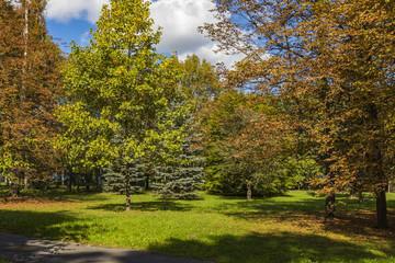 Fototapeta premium Golden Polish autumn. Autumn colors. Cracow. Poland