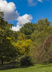 Golden Polish autumn. Autumn colors. Cracow. Poland