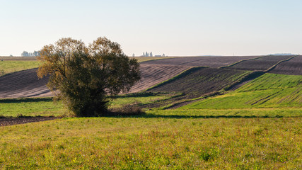 Jesienny poranek z przymrozkiem i szronem, Polska, Podlasie © podlaski49
