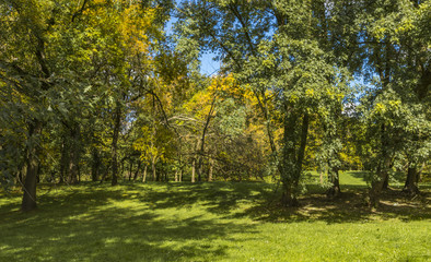 Golden Polish autumn. Autumn colors. Cracow. Poland