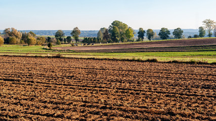 Jesienny poranek z przymrozkiem i szronem, Polska, Podlasie © podlaski49