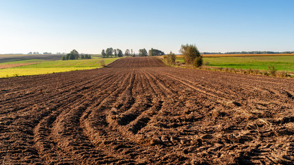 Jesienny poranek z przymrozkiem i szronem, Polska, Podlasie © podlaski49