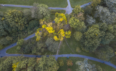 Golden Polish autumn. Autumn colors. Cracow. Poland