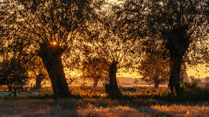 Jesienny poranek z przymrozkiem i szronem, Polska, Podlasie © podlaski49