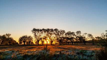 Jesienny poranek z przymrozkiem i szronem, Polska, Podlasie © podlaski49
