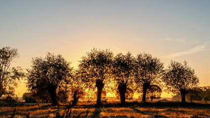 Jesienny poranek z przymrozkiem i szronem, Polska, Podlasie © podlaski49