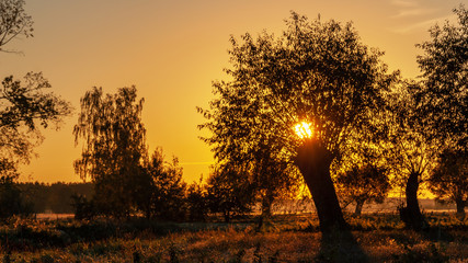 Jesienny poranek z przymrozkiem i szronem, Polska, Podlasie © podlaski49