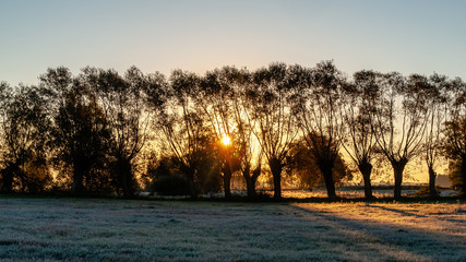 Jesienny poranek z przymrozkiem i szronem, Polska, Podlasie © podlaski49