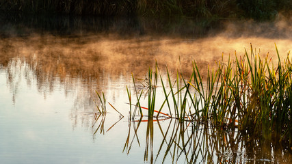 Jesienny poranek z przymrozkiem i szronem, Polska, Podlasie © podlaski49