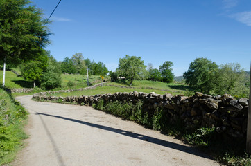 RURAL ROAD BETWEEN STONE WALLS IN NORTHERN PORTUGAL