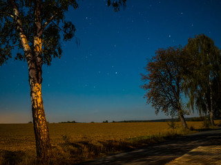 Obraz premium small road at night with a clear sky
