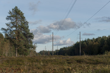 High-voltage power line in a forest against a cloudy sky background