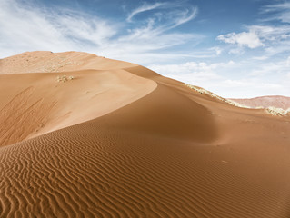 Fototapeta na wymiar Dunes of the Namib desert and dead trees in the Sossusvlei plato of the Namib Naukluft National Park