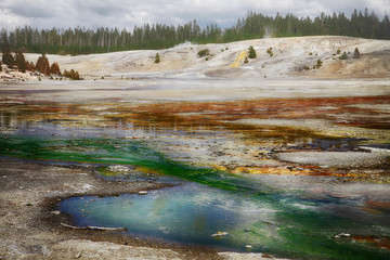 colors of the Porcelain Basin, Norris Geyser Basin in Yellowstone National Park, Montana