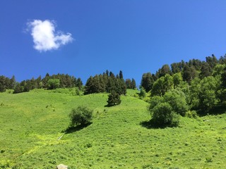 The beautiful nature of Arkhyz. Trees and meadow. Clouds and sky.