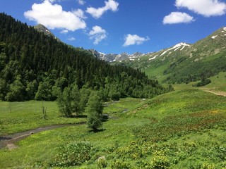 View of the meadow, trees, clouds and mountains.