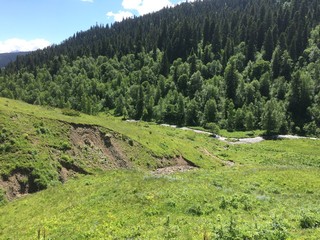 Beautiful nature on the sunny summer day.