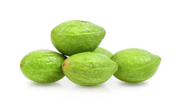Chebulic Myrobalans, Myrolan Wood (Terminalia chebula Retz.) Fruit, medicinal properties.
