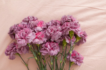 Pink and violet fluffy carnation flowers bouquet on the bed. Pink bedding