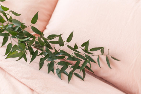 Greenery branch on the bed