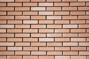 wheat plant on white backgroRed brick wall background texture close upund with reflection
