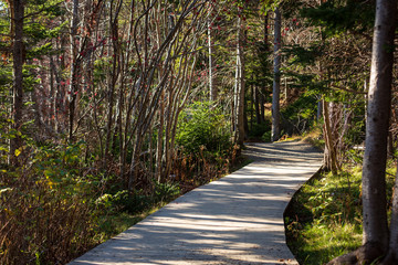 Groomed walking trail in St. John's, Newfoundland and Labrador