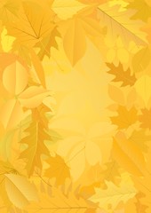 Fototapeta na wymiar background with autumnl leaves