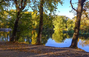 Autumn Landscape. Autumn trees on the shore of the pond in park at the sunset