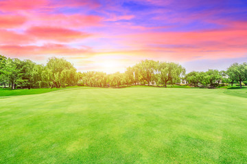 Green lawn and forest with beautiful sky sunset cloud landscape