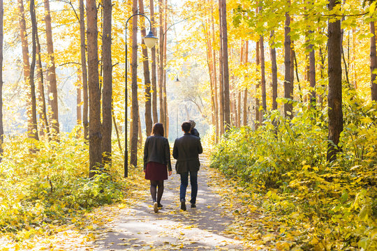 Fall, Nature And Family Concept - Family Walking In Autumn Park, Back View