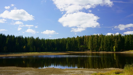 Fototapeta na wymiar Lake in the forest of the Harz mountains. Picturesque mining pond near Clausthal-Zellerfeld in Lower Saxony, Harz mountains, Germany.
