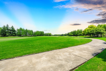 Cement road and green meadow with forest in city park - obrazy, fototapety, plakaty