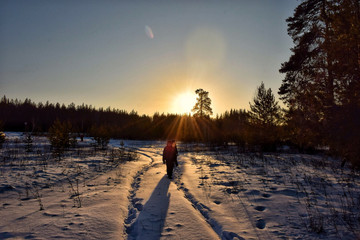 Naklejka premium A married couple is walking in the woods