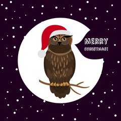 Seriously owl with Santa Hat. Merry Christmas vector card template