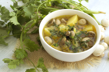 Homemade diet mushroom soup on a light background.