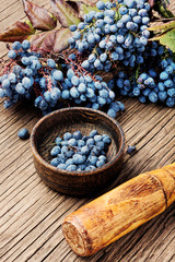 Berries in herbal medicine