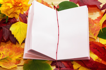 Autumn multicolored leaves, Notepad with white blank sheets and raindrops on the window , mock up
